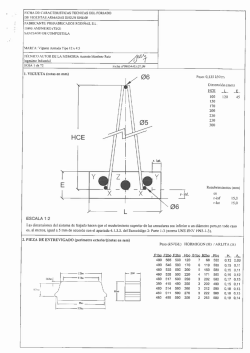 Ficha de Características Técnicas de VIGUETA ARMADA