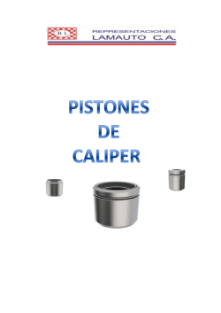 CATALOGO DE PISTONES (COLOMBIA).xlsx