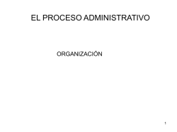 organización - Profesora Helga Navarro