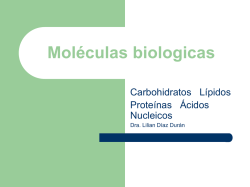 Moléculas biologicas 2 - Apoyo para la Fac. de Odontología – USAC
