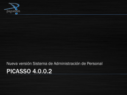 PICASSO 4.0.0.2