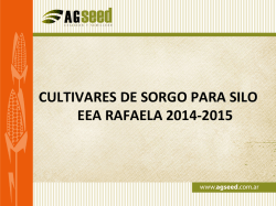 Sorgo – INTA Rafaela – 2015