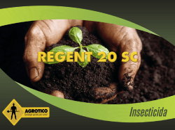 Regent 20 SC