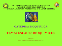 enlaces bioquimicos 2015