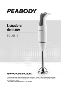Licuadora de Mano (PE-LM315)