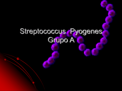 Streptococcus β Hemolíticos Grupo A