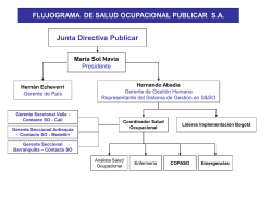Junta Directiva Publicar