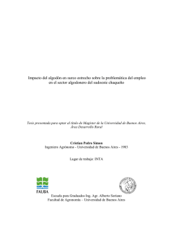 el documento (formato PDF) - Universidad de Buenos Aires
