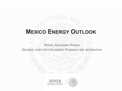 Rafael Alexandri Rionda-Ministry of Energy - United States