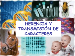 T2 HERENCIAYTRANSMISION DE