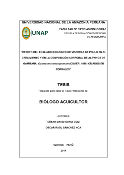 tesis - Universidad Nacional de la Amazonía Peruana