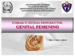 Aparato_genital_femeninodef