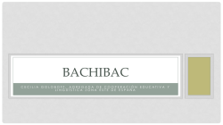 LE bachibac