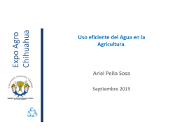 Uso eficiente del agua en las cadenas productivas