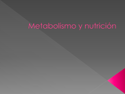 Metabolismo y nutricion