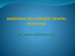 ANATOMIA DEL APARATO GENITAL FEMENINO