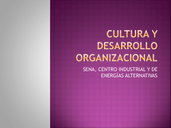 cultura y desarrollo organizacional