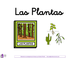 Las Plantas - ANA. Asociación Navarra de Autismo