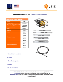 Vibrador de inmersión de cabeza cuadrada Wyco