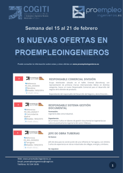 Web: www.proempleoingenieros.es Email: proempleoingenieros