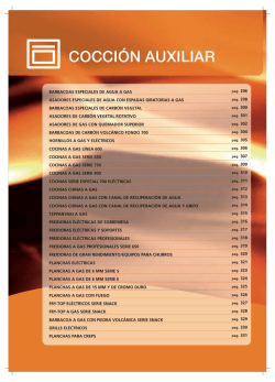COCCIÓN AUXILIAR