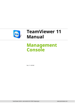 Vista previa - TeamViewer