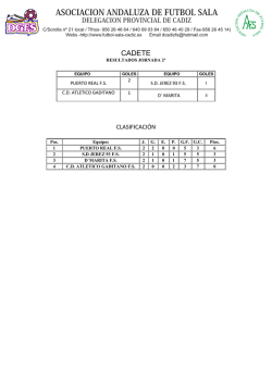 dgfs asociacion andaluza de futbol sala