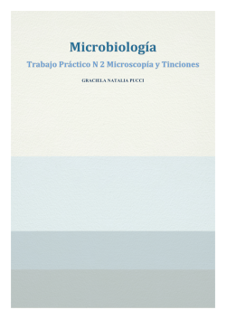TP 2 Microscopia y tinciones
