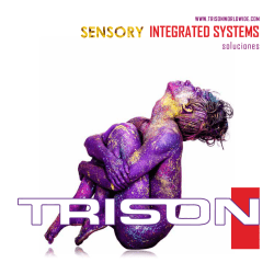 integrated systems - Trison Worldwide