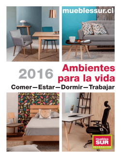 Inserto Muebles Sur 2016