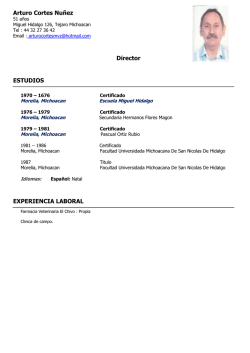 Arturo Cortes Nu&ntilde;ez EXPERIENCIA LABORAL Director ESTUDIOS