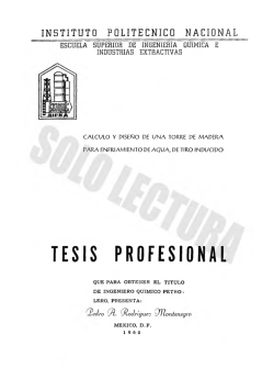 TESIS PROFESIONAL