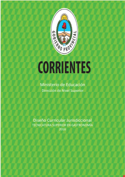 Ministerio de Educación Diseño Curricular Jurisdiccional