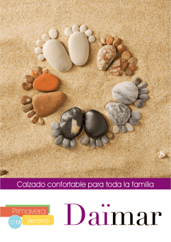 Descargar cat&aacute;logo PDF