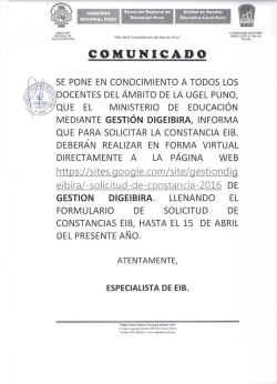 SOLICITUD DE CONSTANCIA DIGEIBIRA 2016