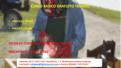 Curso de intorduccion de proceso SMAW y FCAW