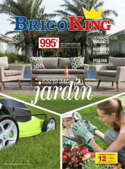 995 - Bricoking