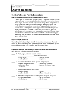 Skills Worksheet Active Reading