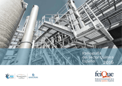 Radiografía Económica del Sector Químico español