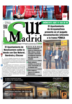 el PDF de Sur-Madrid SurOeste - Sur