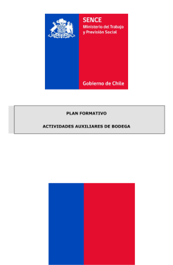 actividades auxiliares de bodega