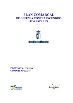 plan comarcal - Gobierno de Castilla