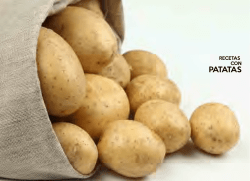MANUAL BE PRO CHEF PREMIER traz内页改.cdr