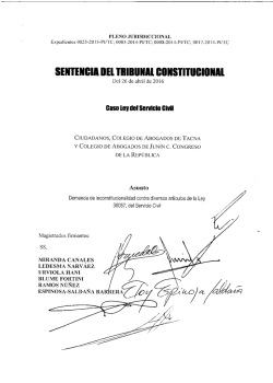 00025-2013-PI/TC - Tribunal Constitucional