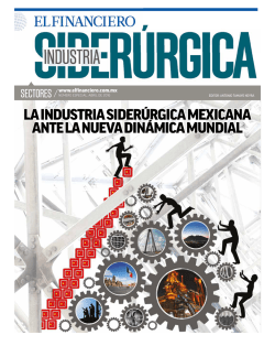 la industria siderúrgica mexicana ante la nueva