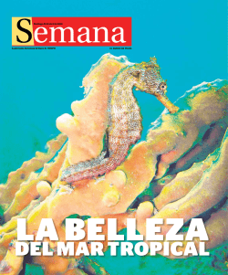 Domingo 24 de abril de 2016