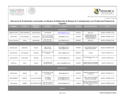 Directorio de Profesionales Autorizados en Sistemas de