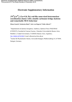 Electronic Supplementary Information