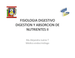 fisiologia digestivo digestion y absorcion de nutrientes ii