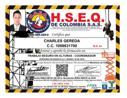 NR.-HSEQ. 01292 - hseq trabajo seguro en alturas